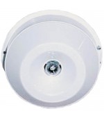 Đầu dò lửa BOSCH D284